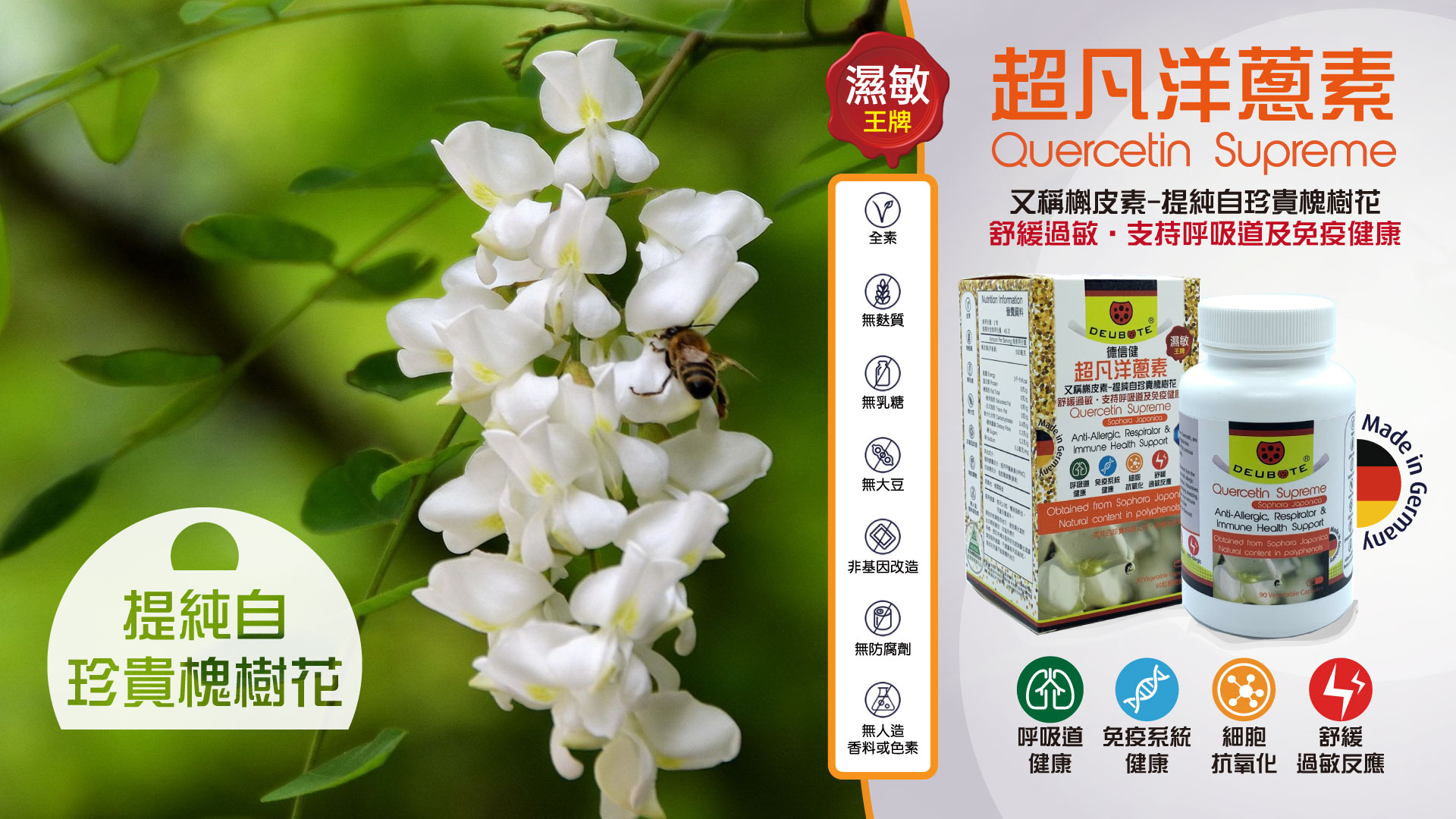 德信健超凡洋蔥素又稱槲皮素